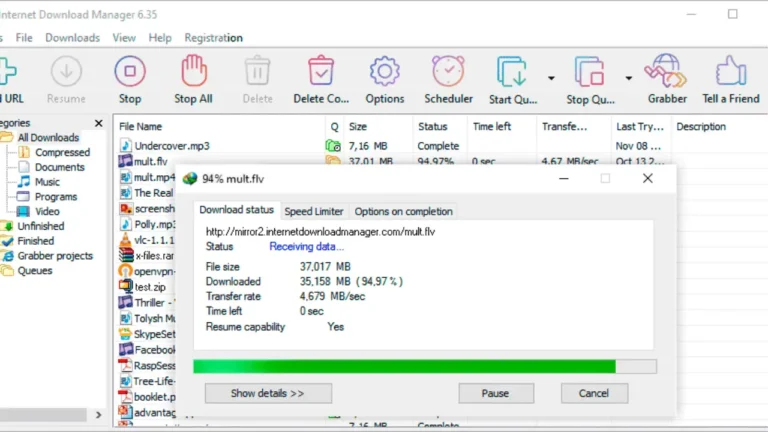 Internet Download Manager