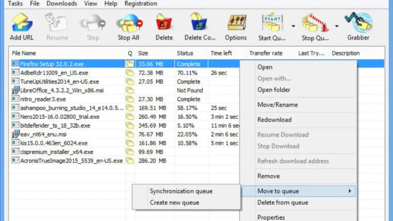 Internet Download Manager