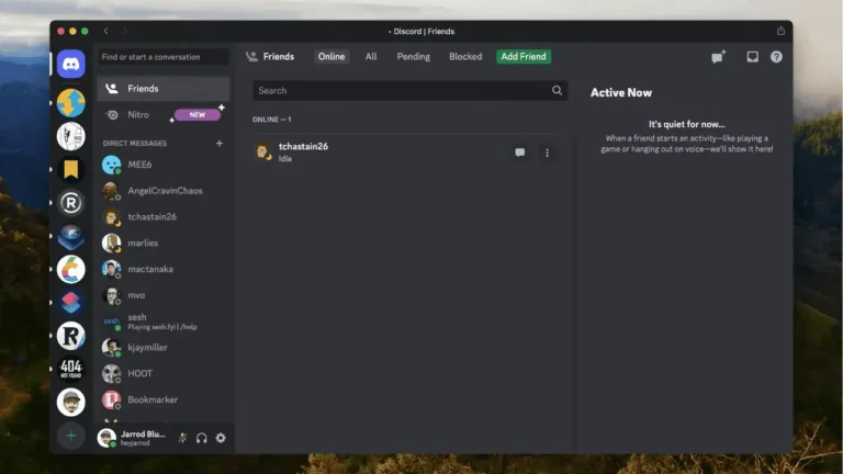 Discord for Mac image (5)