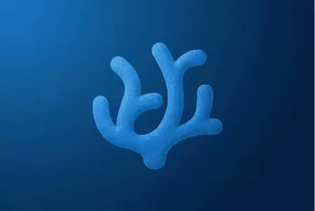 VSCodium for Mac image (1)
