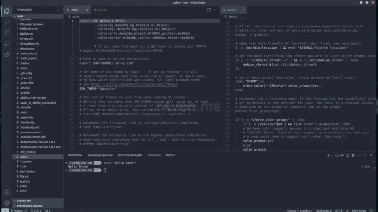 VSCodium for Mac image (2)